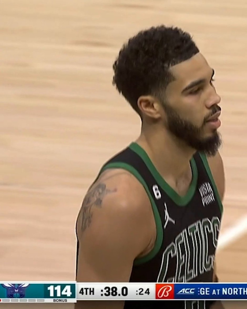 鹈鹕夏季展 鹈鹕夏季展