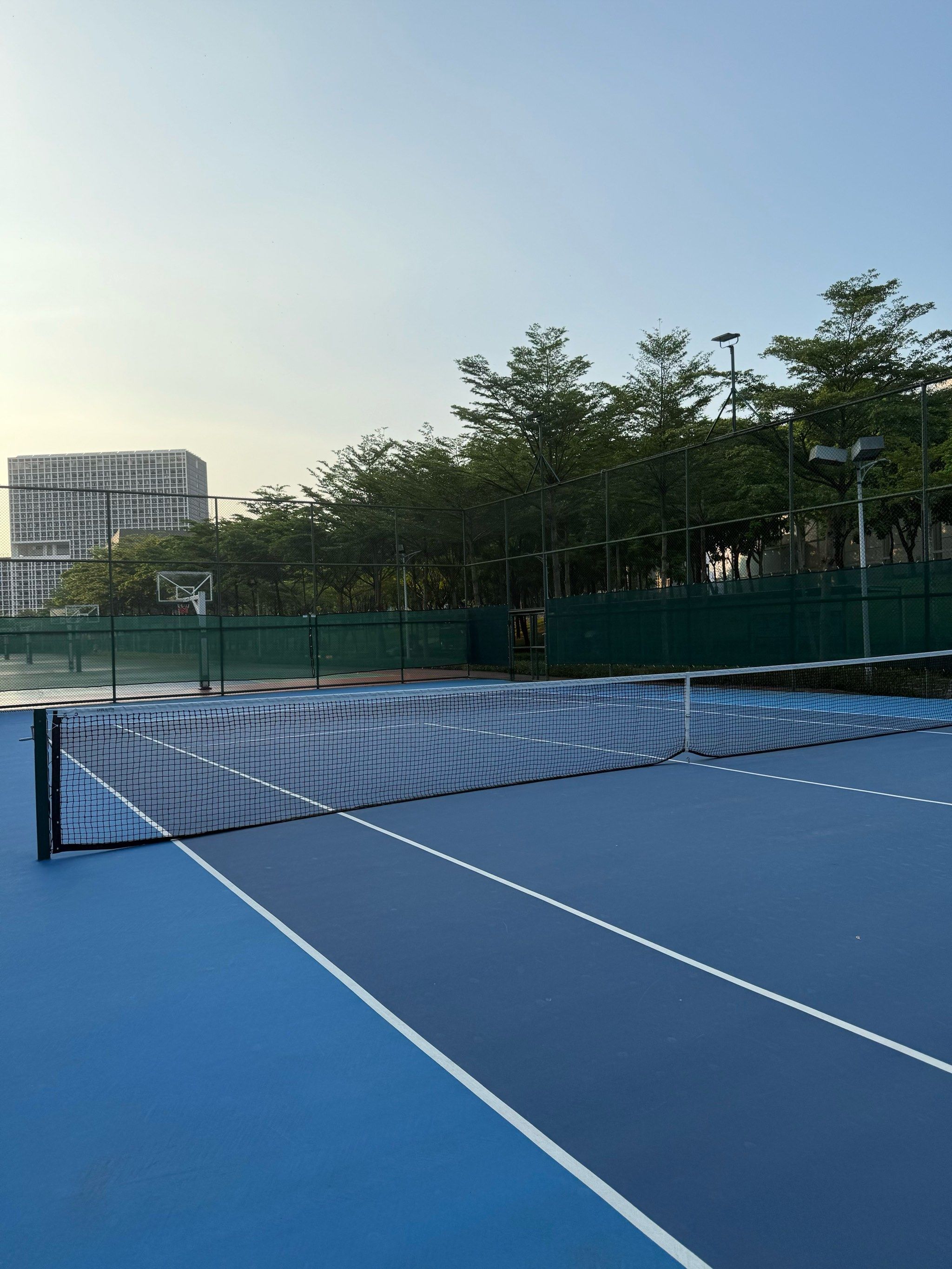 力与精确传 力与精确传