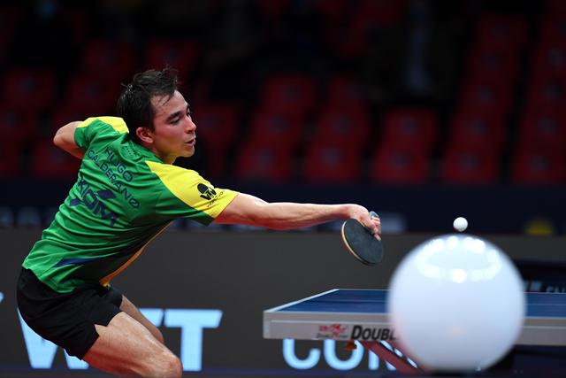 森纳明显体 森纳明显体