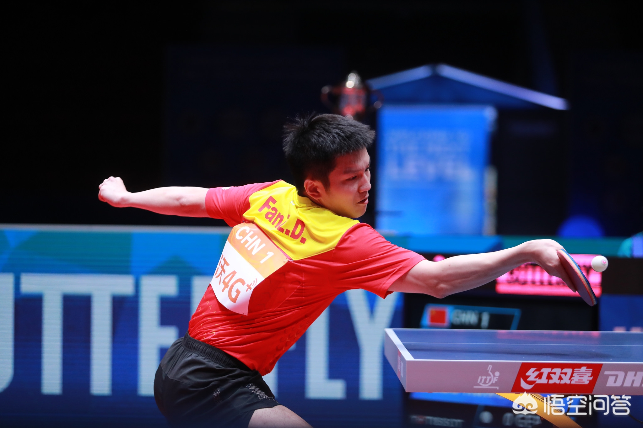 他们不仅通 他们不仅通